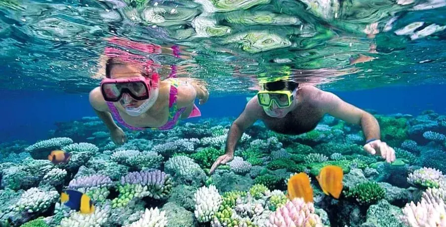 Two guests snorkeling underwater over vibrant coral reefs with colorful tropical fish in the crystal clear waters of Zanzibar Indian Ocean